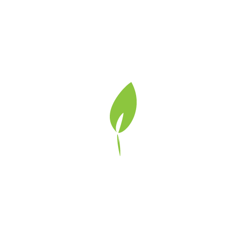 Individual Change Agent