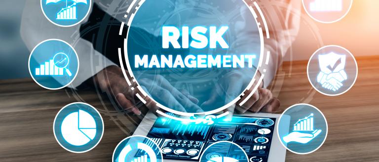 Risk Management Graphic