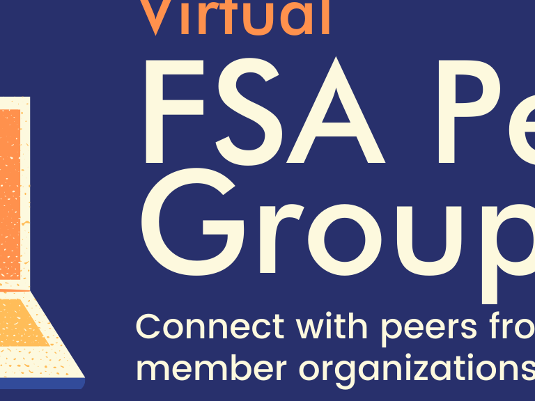 FSA Peer Groups
